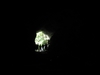 Jura9 003.jpg im Album Franz. Jura 2009